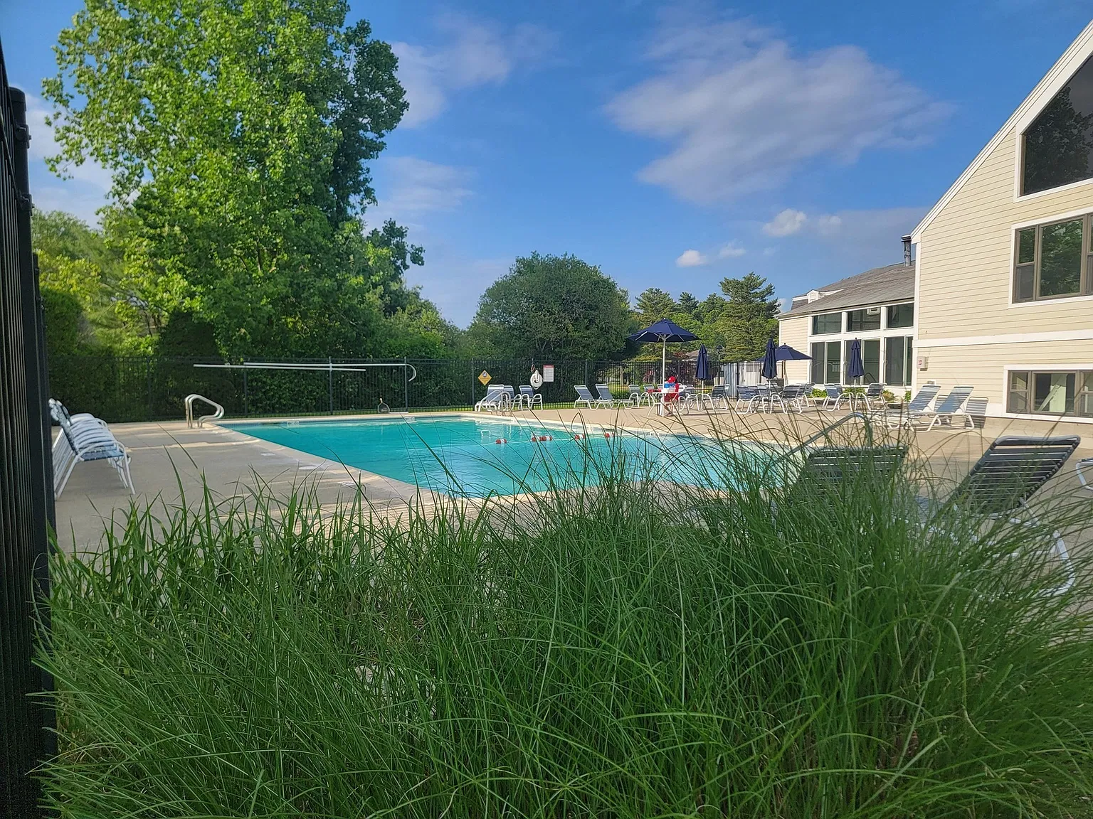 1 bed, 1.0 bath, 900 sqft, $1,375 — Photo 3