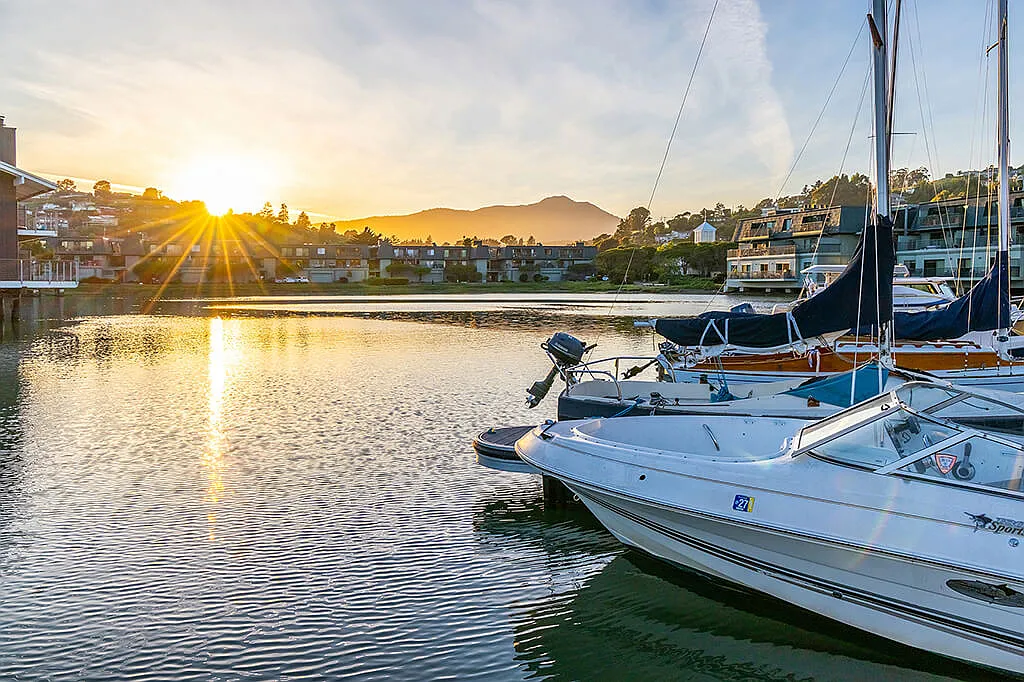 The Cove at Tiburon — Photo 3