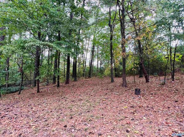 345 Stinson St, Centre, AL 35960