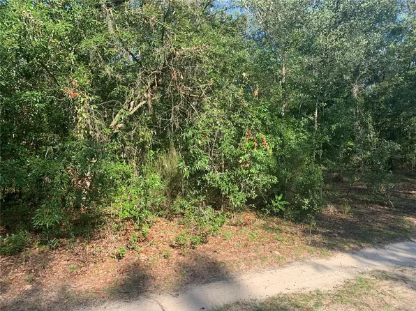 NE 118th Ln, Bronson, FL 32621