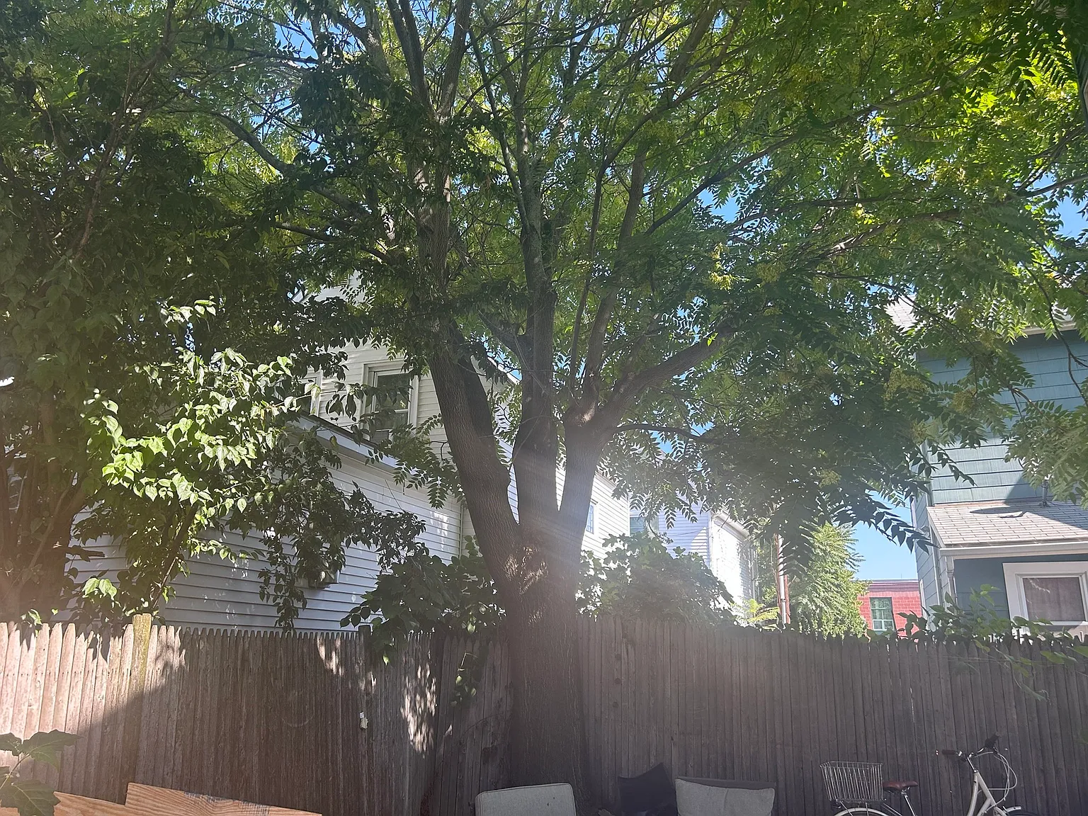 4 bed, 2.0 bath, 1888 sqft, $3,400 — Photo 2
