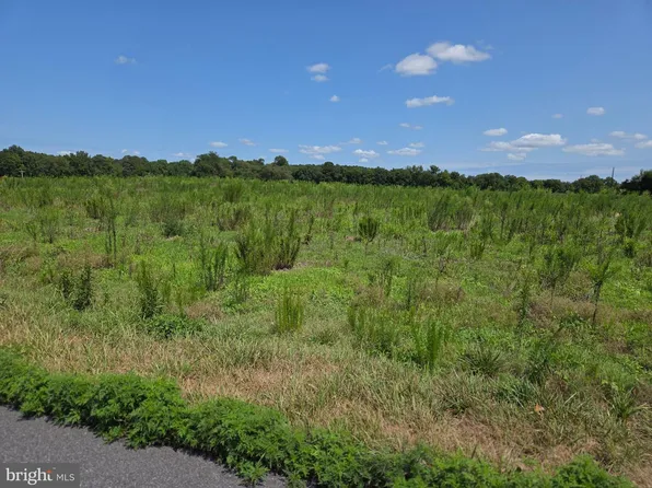 0 Delaware Ave, Pittsville, MD 21850