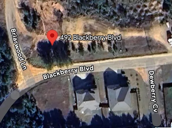 492 Blackberry Blvd #515, Springville, AL 35146