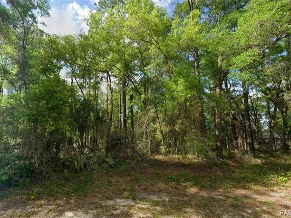 10912 N Airway Loop, Citrus Springs, FL 34434