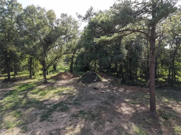 26331 S Satsuma Rd, Livingston, LA 70754