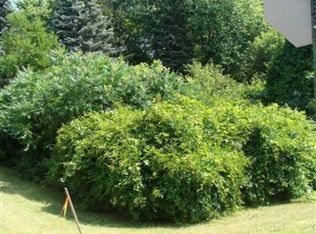 Oak St, Stevensville, MI 49127