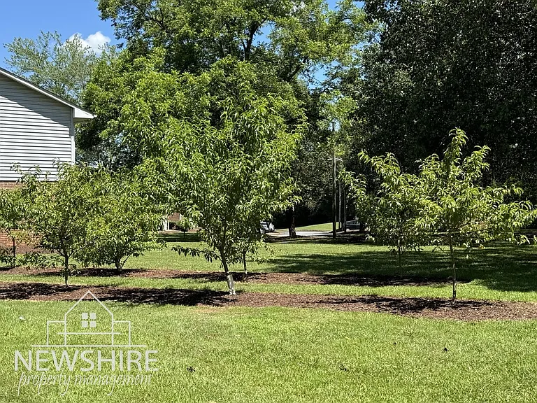 The Orchard Apartments — Photo 52