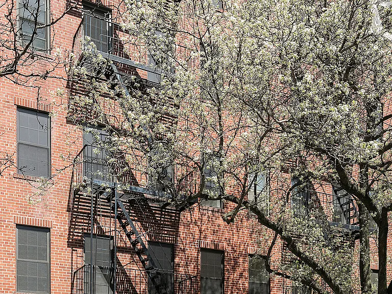 235 10th St #3E — Photo 8