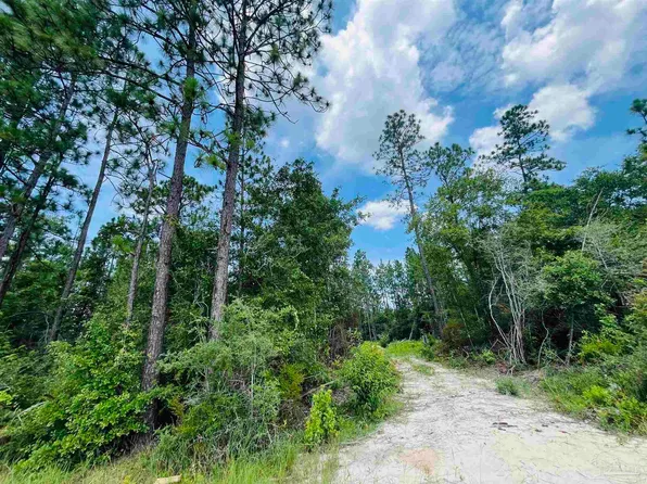 1292 Mineral Springs Rd, Jay, FL 32565
