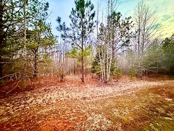 4th image of 517 Terrapin Pointe Rd