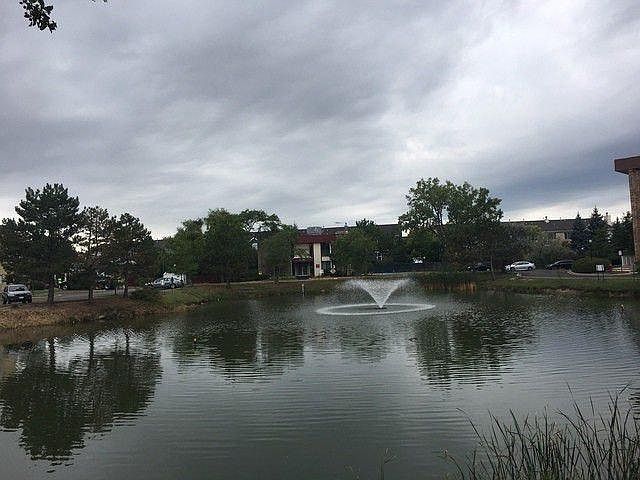Pond View