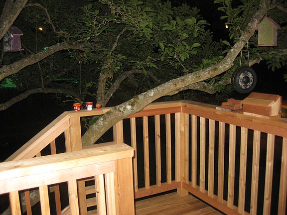 Back Deck