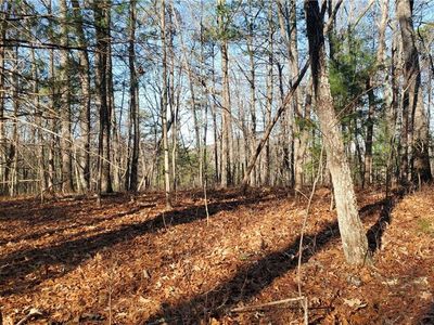 0 Laurel Trce #111, Blue Ridge, GA, 30513