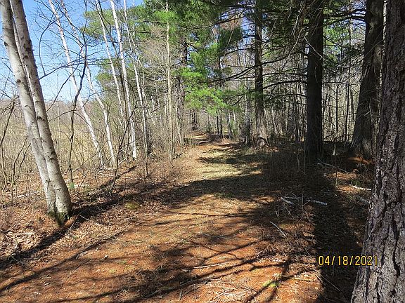 Path through wooded area