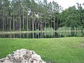 2nd image of 7890 185th Rd