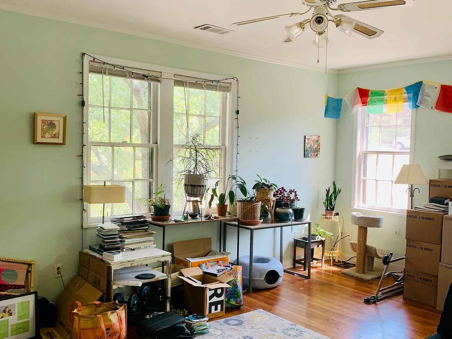 2 bed, 1200 sqft, $1,250 — Photo 2