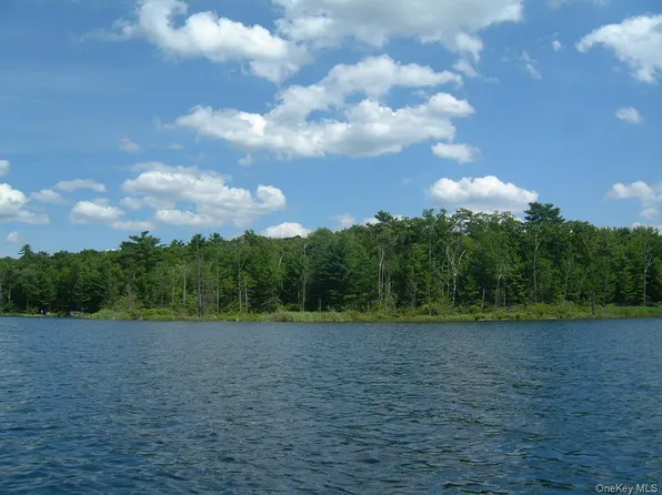Browning Boulevard, Barryville, NY 12719