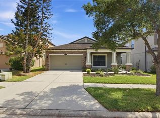 11623 Palmetto Pine St, Riverview, FL 33569