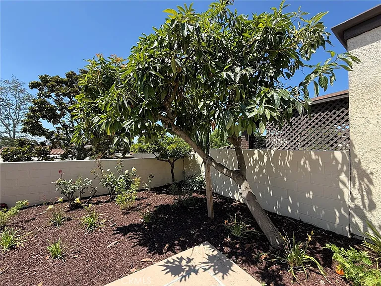 860 Calle Del Sol — Photo 19