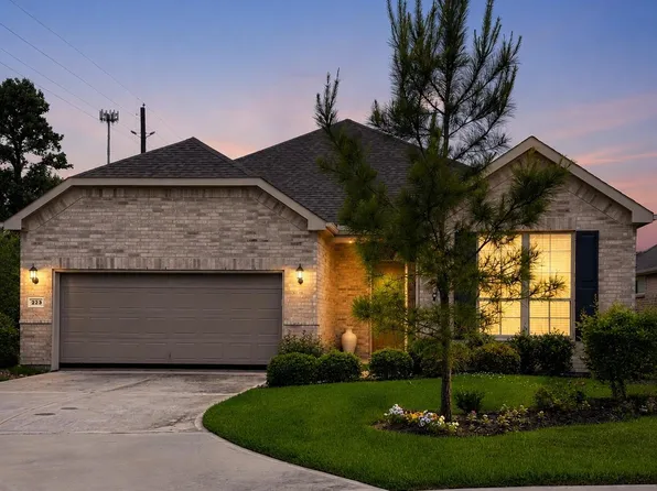 223 Spotted Saddle Ct, Spring, TX 77382