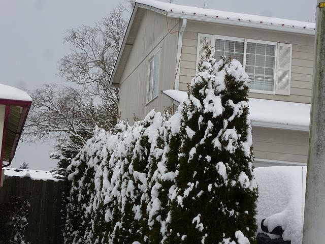 2nd image of 15509 NE 83rd St