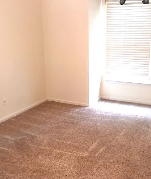 302 Patriot Ln #B — Photo 12