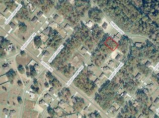 Locus Loop Pass LOT 9, Ocklawaha, FL 32179
