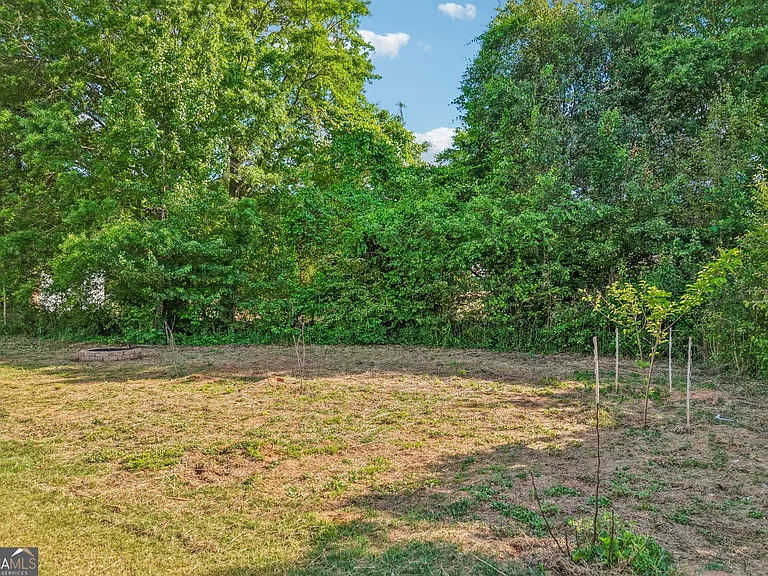 1354 Horseshoe Bend Ln — Photo 47