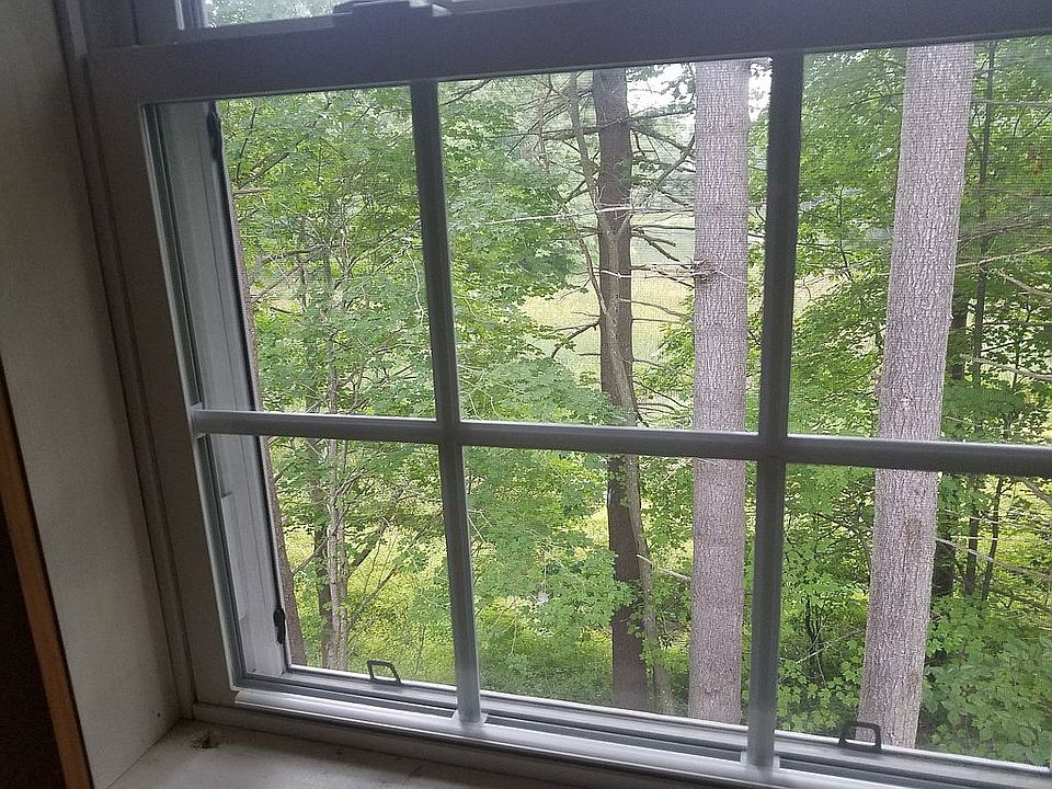 View from kitchen window