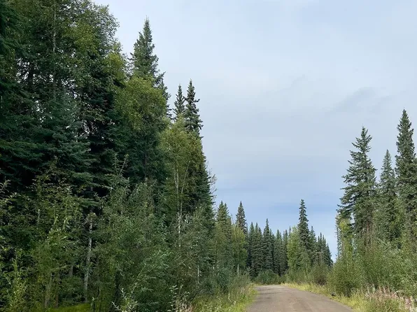 Nhn Maude Boyle Dr, North Pole, AK 99705