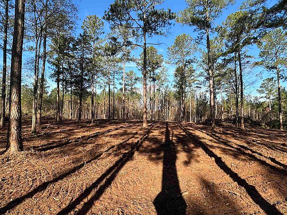 5th image of 391 Highway