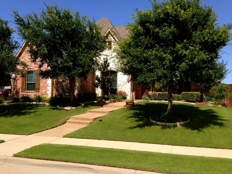 Lush Curb Appeal
