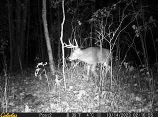 Glenndenning Rd, Shell Lake, WI 54871