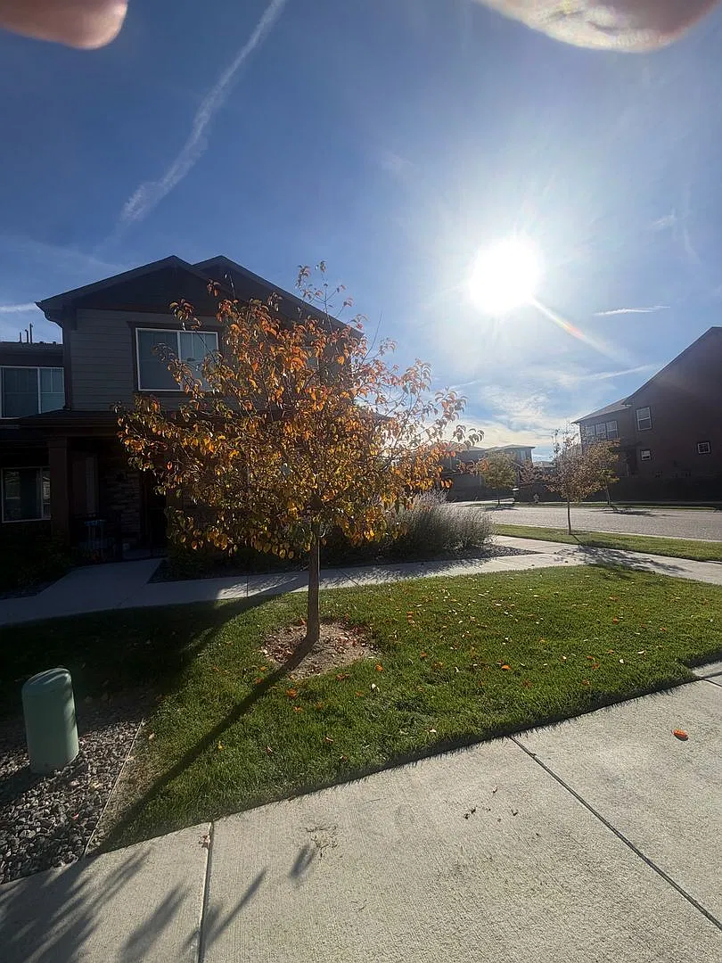 Spacious 4BR Townhome in Aurora — Photo 4