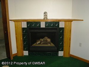 Lower Level Fireplace