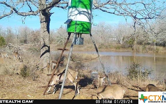 3rd image of 3213 County Road 443