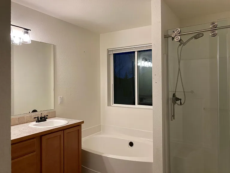 Master bathroom