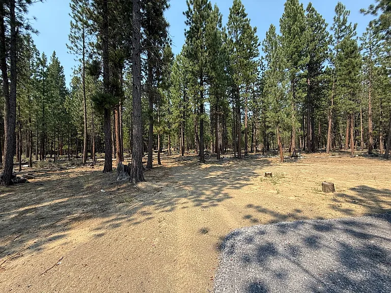 153550 Little River Loop — Photo 30