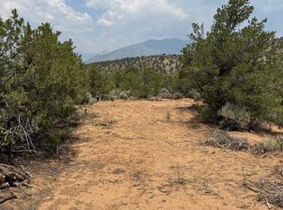 LOT 5 Canon Ct, Taos, NM 87571