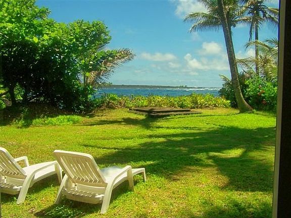 Tropical backyard looking towards the bay