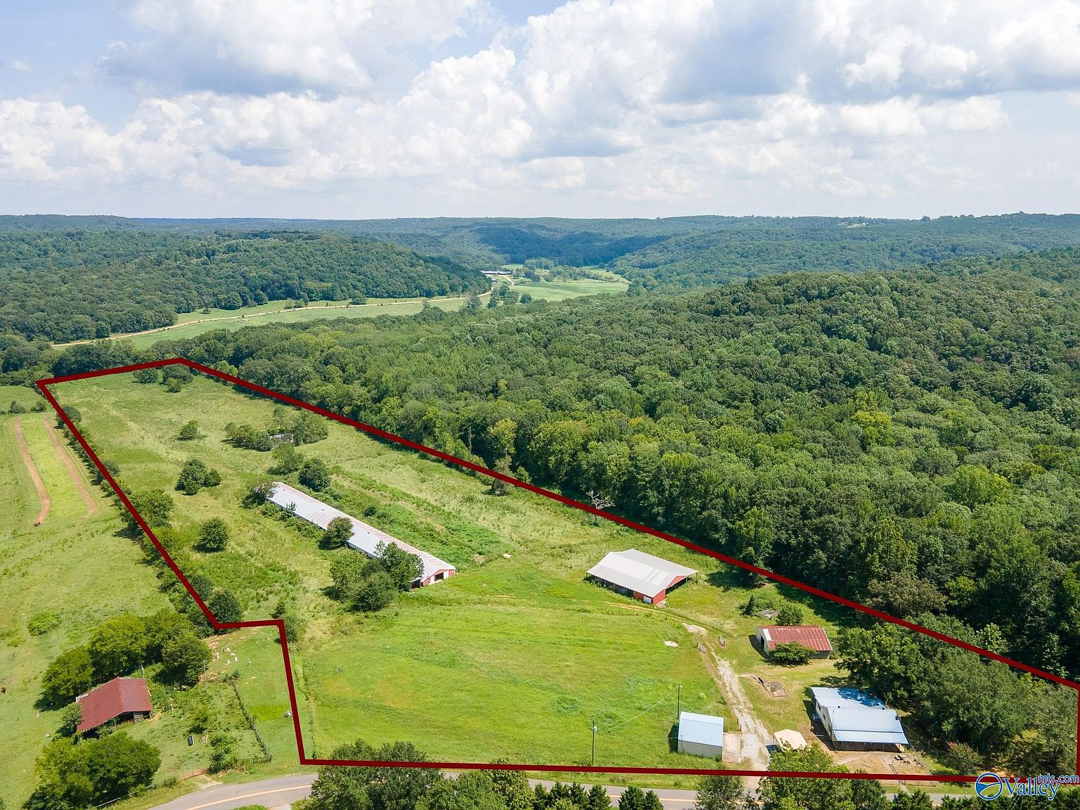 438 Freeman Rd, Danville, AL 35619 Zillow