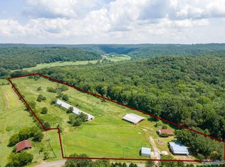 438 Freeman Rd, Danville, AL 35619