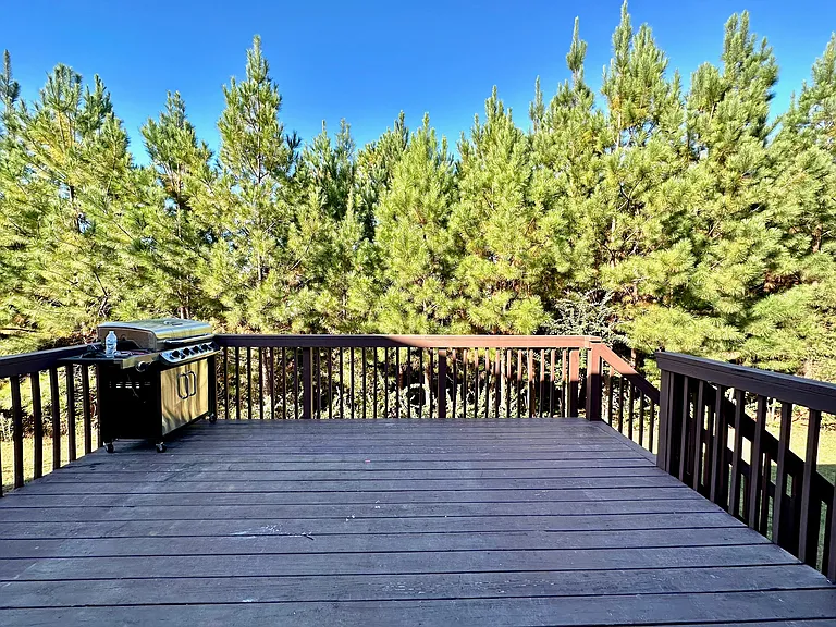 1218 Clingman Dr — Photo 21
