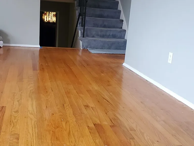 1420 Lattidome Dr — Photo 17