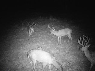 County Road Y Rd #617, Birch Tree, MO 65438