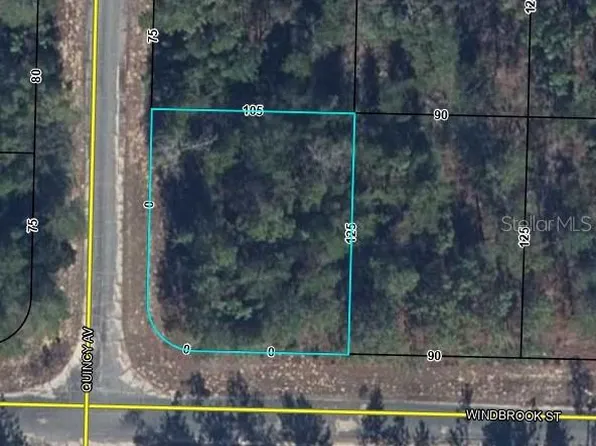 Windbrook St Lot 16, Chipley, FL 32428