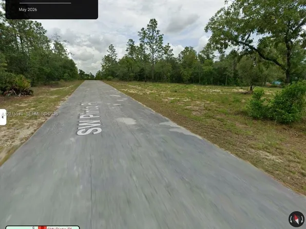 SW Southwest Pinto Pl, Ocala, FL 34431