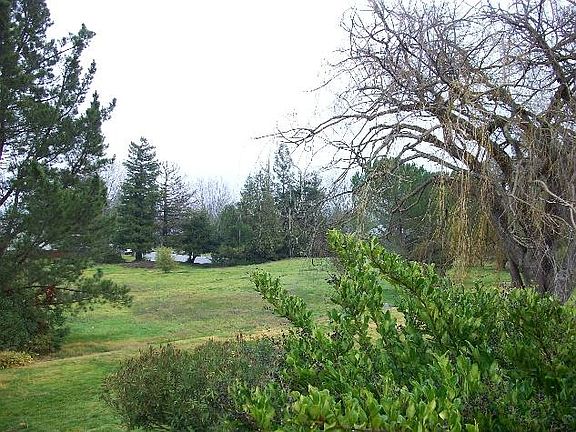 2nd image of 37 Vineyard Cir