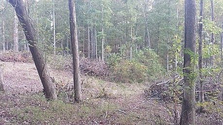 2nd image of 2 Country Ln