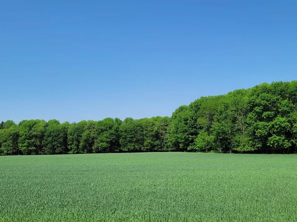 Curran & Bolt Road, Denmark, WI 54208